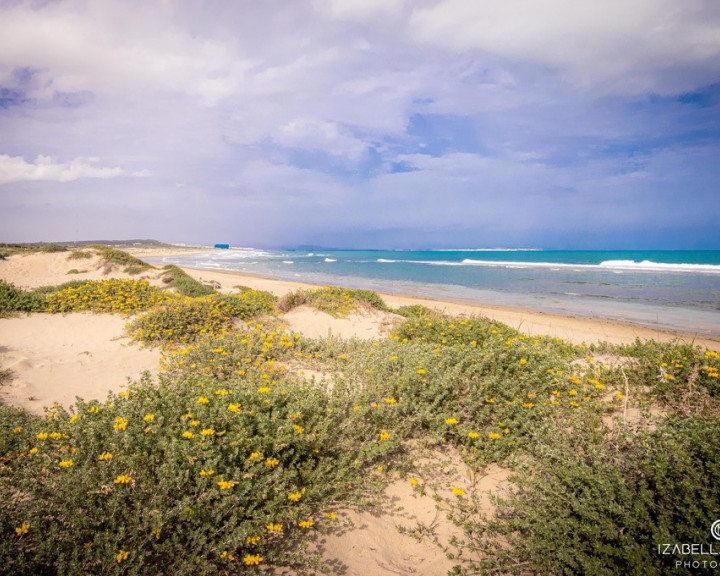 Mieszkanie Sprzedaż Torrevieja, el Baix Segura / La Vega Baja del Segura, Alacant / Alicante, Wspólnota Walencka, Hiszpania